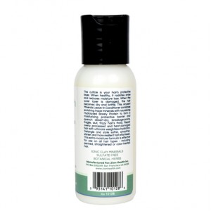 Conditioner 2oz Leave-In