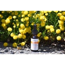 Daily Perfection Oil 0.50 oz.