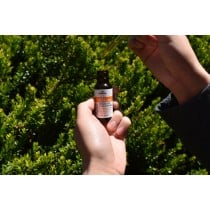 Daily Perfection Oil 0.50 oz.