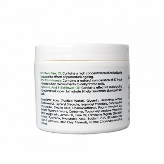 Hydrating Cream Moisturizing Day Cream - Hyaluronic Acid & PCA  image